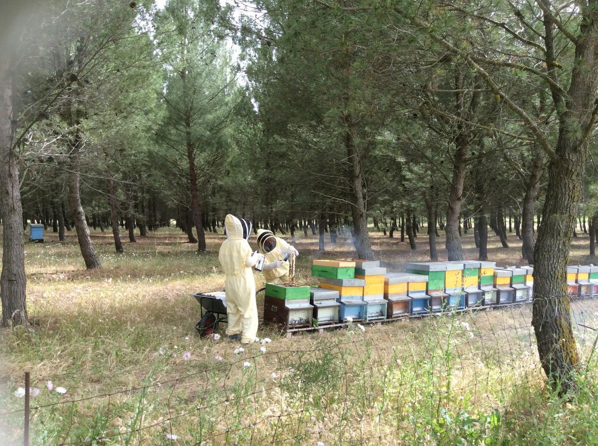 Agriturismo Gennemara B&B Perdaxius Экстерьер фото